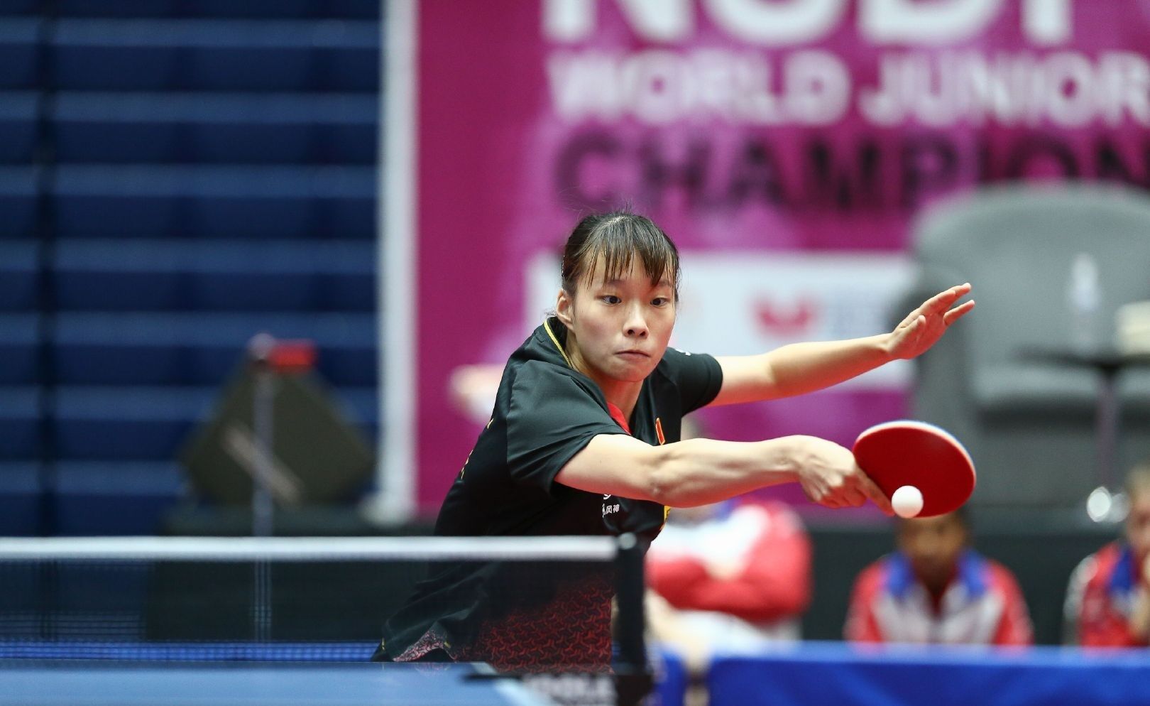 库卢塞夫斯 库卢塞夫斯