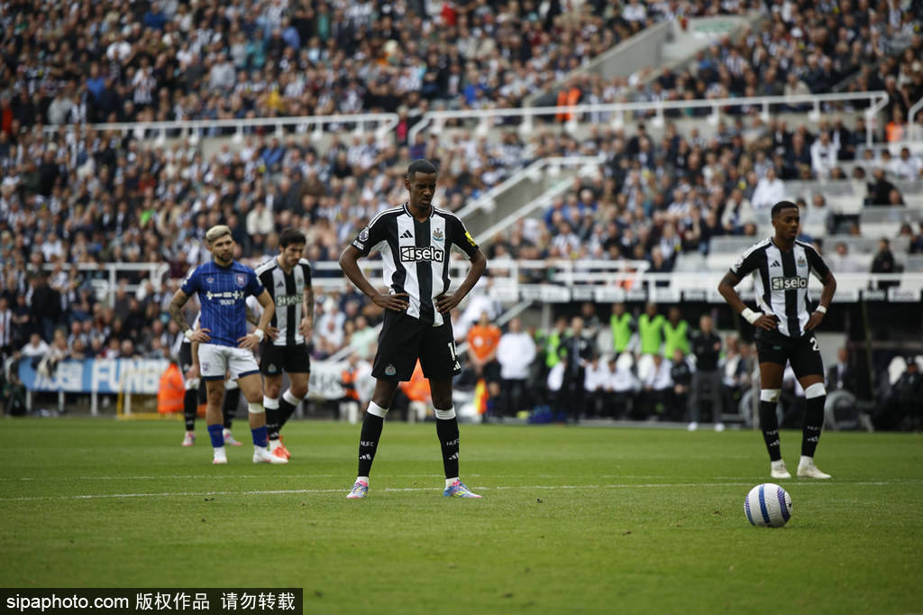 凭借组合的 凭借组合的